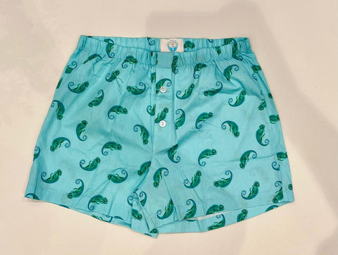 Chameleon Boxers Men