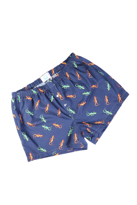 Boys Gecko Boxers